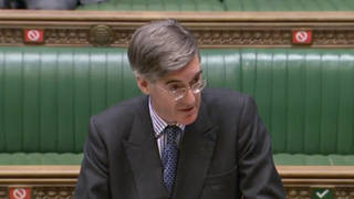 Jacob Rees-Mogg said people should stop the "endless carping" about test availability