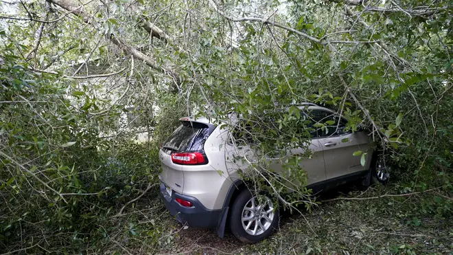 A car is covered in branches in the aftermath of Hurricane Sally