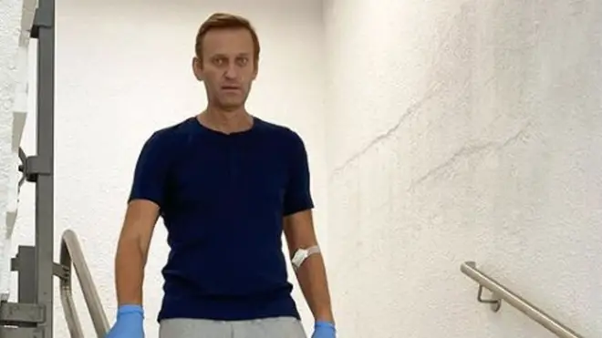 Alexei Navalny has been pictured walking down stairs