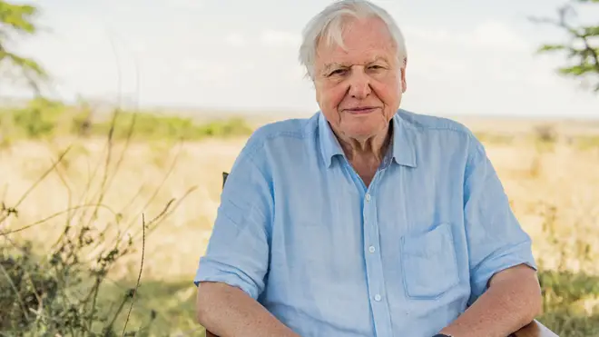 Sir David Attenborough has joined Instagram