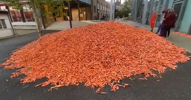 Nearly 30 tonnes of carrots were dumped outside the university for an art installation