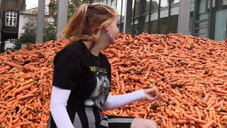 Nearly 30 tonnes of carrots were dumped outside the university for an art installation
