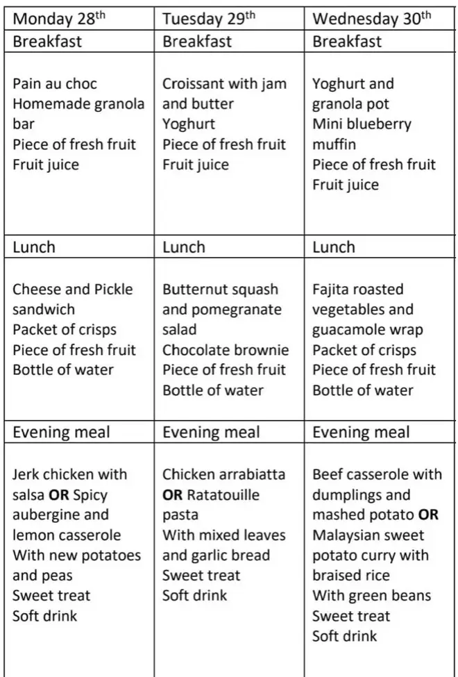 A sample of the menu offered through the university food delivery service