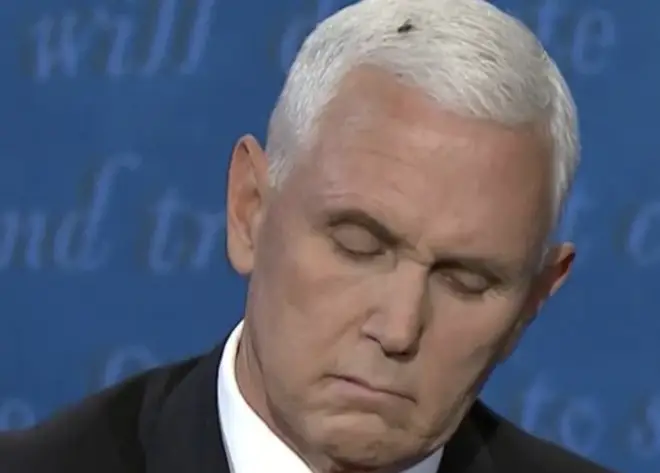 The fly landed on Mike Pence's head and stayed there for minutes