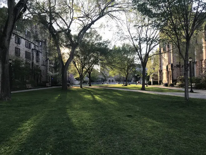 Yale University in the US came under fire for alleged racial bias