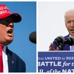 Donald Trump and Joe Biden are battling it out to become the next President