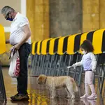 As Thomas Frieburger, left, and Lourdes Santos, right, vote on Election Day, Santos' daughter Sofia, 4, tries to get the attention of Frieburger's dog Lucky at a polling place at Union Station,