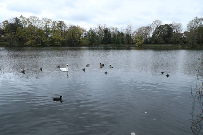 Highgate No 1 Pond on Hampstead Heath, London, which has been searched by police divers in connection with the disappearance of Robert Duff