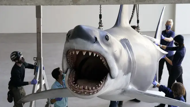 A replica of Bruce, the shark featured in Steven Spielberg’s classic 1975 film Jaws, is lifted into a suspended position for display at the new Academy of Museum of Motion Pictures (Chris Pizzello/AP)