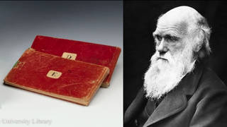 Two of Charles Darwin's notepads have been reported stolen two decades after going missing