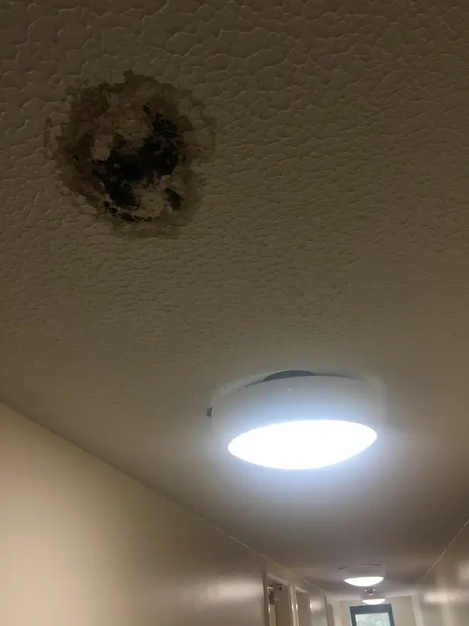 One Sussex student told LBC they felt they had to move out due to mould in their accomodation.