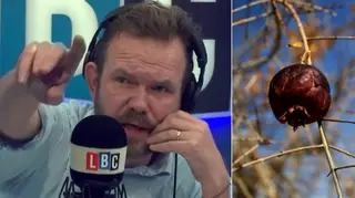 James O'Brien had a few facts for this caller