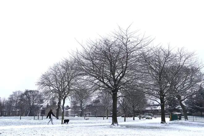 A woman walks a dog in the snow around Peel Park, Bradford