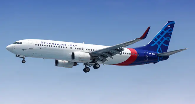 The Sriwijaya Air flight fell 10,000ft in less than a minute shortly after departure