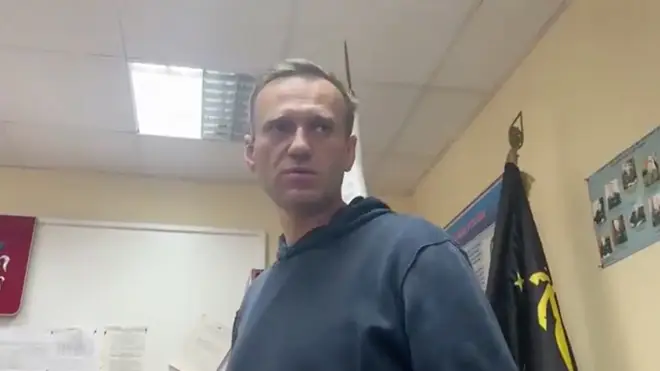 Alexei Navalny was arrested on his return to Russia
