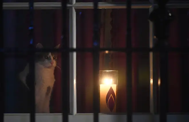 Larry the Cat sits next to a candle in a window at 10 Downing Street, London, lit in remembrance of victims of the Holocaust