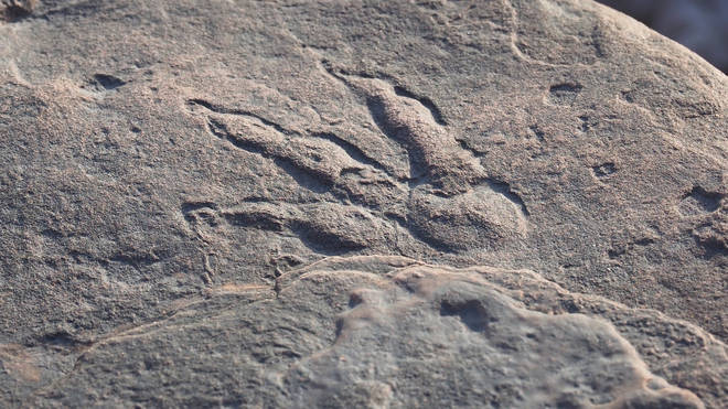 The dinosaur footprint is believed to be 220 million years old