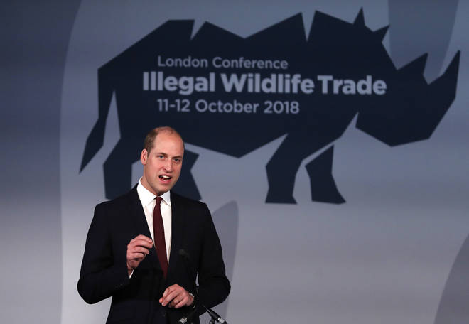 Prince William has been an advocate on environmental issues for years