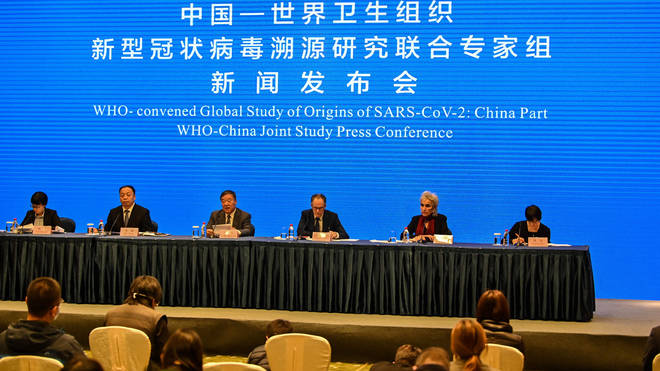 Covid-19 update: the panel of WHO investigators in Wuhan