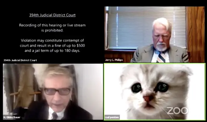 a Zoom court hearing went awry when one of the lawyers could not disable a kitten filter