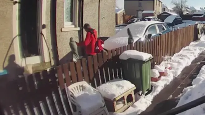 A Royal Mail postman refused to help a vulnerable pensioner lying in snow after a fall