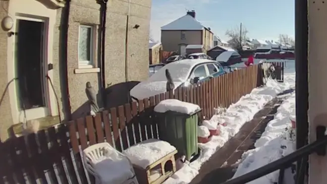 The postie left the elderly woman in the snow to continue his round