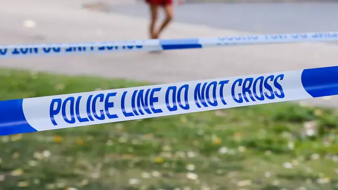 A 24-year-old man has died after being stabbed near Reading