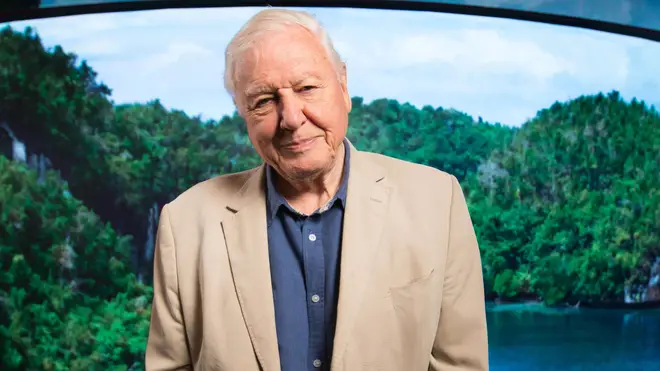 David Attenborough has issued a stark warning about climate change