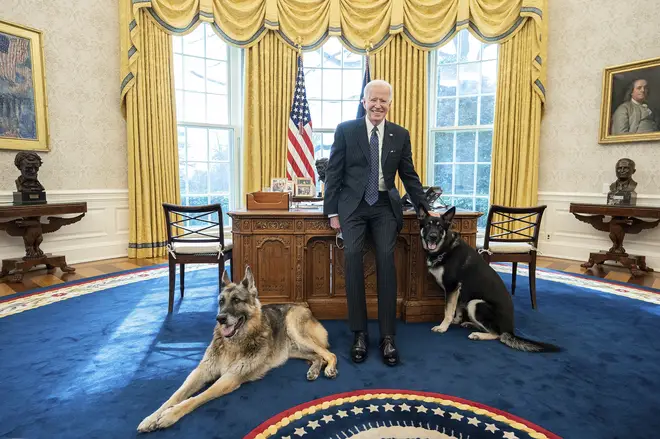 US President Joe Biden pictured in the Oval Office with Major and Champ