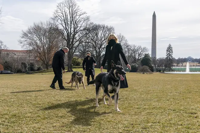 The dogs pictured on the South Lawn of the White House with the President and First Lady
