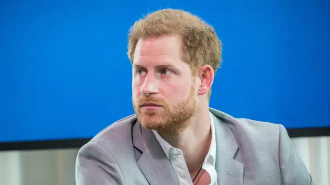 Prince Harry's new job as a commissioner looking at media misinformation is his second appointment in two days.