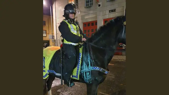 Avon and Somerset Police said one of their horses was covered in paint