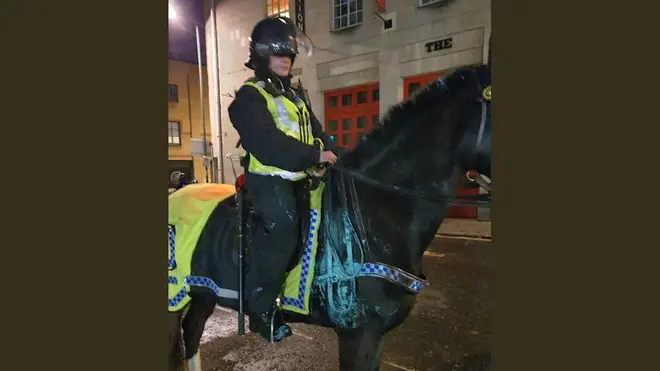 The force said one of their horses was covered in paint by the end of the night