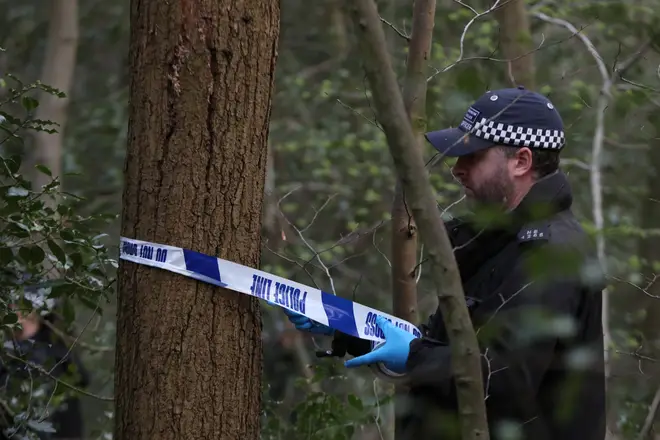 Police searches in Epping Forest entered their fifth day on Sunday.