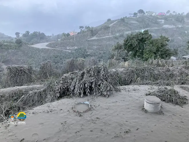 Ash has covered vegetation and houses on the island of St Vincent.