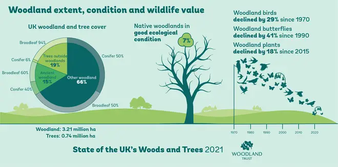 A Woodland Trust infographic showing the benefits of woodlands