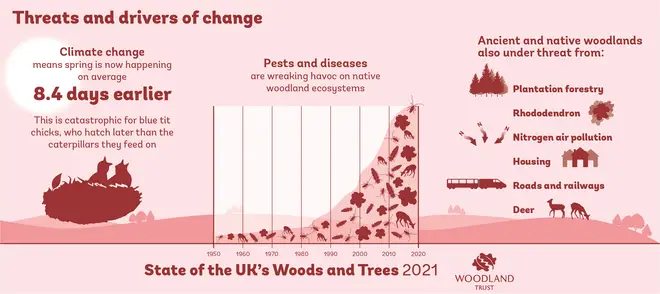 A Woodland Trust infographic showing threats and drivers of change to woodlands