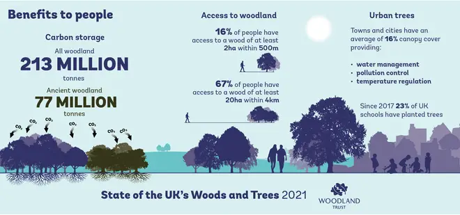 How healthier woodlands will benefit people