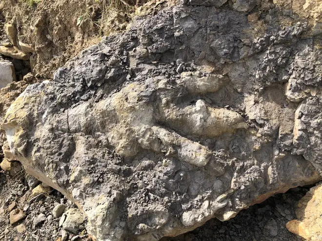 The fossil is the largest dinosaur footprint ever found in Yorkshire