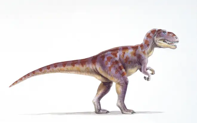 Illustration of a Megalosaurus, which had a similar footprint to the discovery in Yorkshire