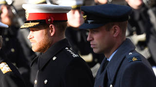The Duke of Sussex and The Duke of Cambridge pictured together at the Cenotaph in 2019