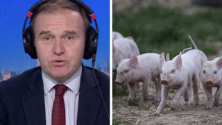 George Eustice grilled over involvement in policies that benefit his family farm