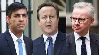 David Cameron's lobbying texts to Rishi Sunak and Michael Gove have been released