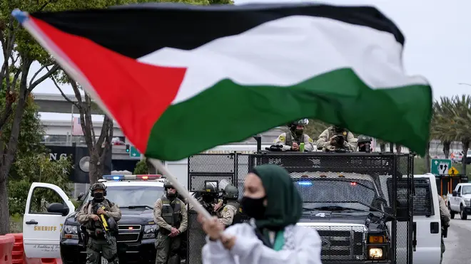Pro-Palestine protester