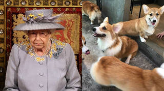 The Queen has reportedly been left devastated after one of her puppies died