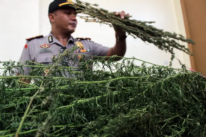 The hotel owner and his partner were caught in possession of marijuana