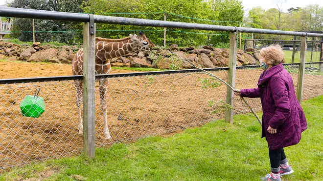 She’s even having a giraffe named after her at Whipsnade Zoo