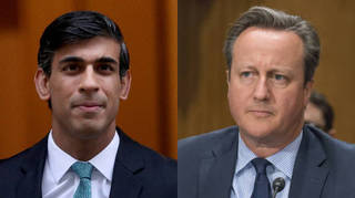 Rishi Sunak and David Cameron exchanged WhatsApp messages over Greensill Capital, prompting the new review into standards.