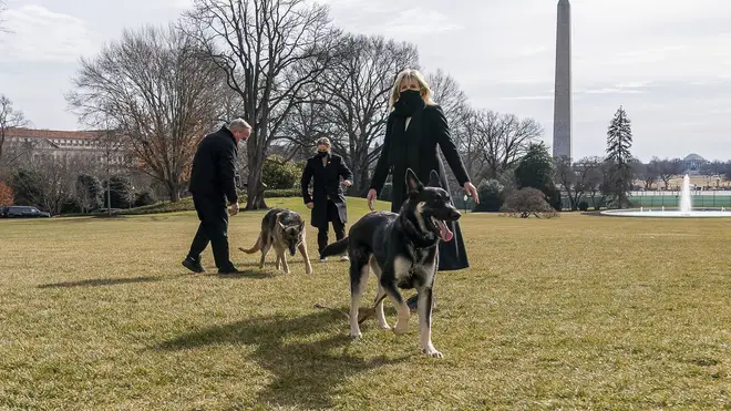 Jill Biden with Champ and Major on the South Lawn of the White House