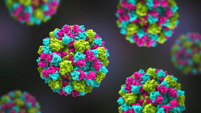 Norovirus outbreaks are increasing in England.